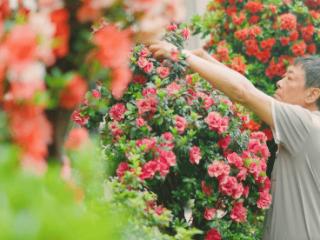 一位肺癌患者写给未来的独白信