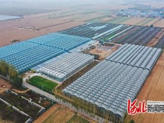 新河县：项目为王强动能 就业带动惠民生