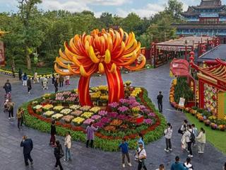 簪菊煮茶 手把手教你当一天“宋朝人”