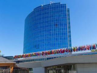 180万件！2024年中国专利申请量蝉联全球第一