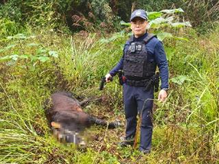 阳光下的守护丨黔东南公安：用心服务群众 用情守护平安