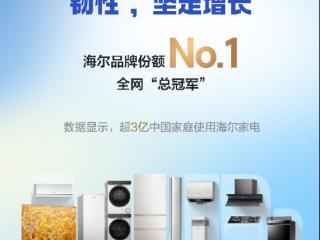 双11收官！海尔连续14年全网第一