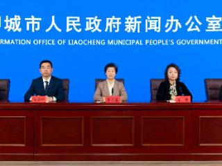 聊城：建强“双高地”，织密“一张网”，让群众更有“医”靠