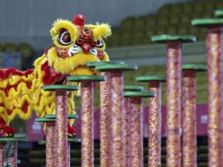 舞狮赛场架起“连心桥” 粤港澳联队同心筑梦想