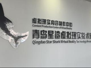2025青岛虚拟现实创新大会将启，星鲨研究院探索“具身智能”前沿