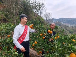 工行毕节分行：“电商e贷”打通电商小微资金“经脉”