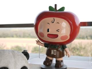 2025网聚美好安徽 | 年产值超8000万元 淮北和村苹果“飞”出乡村