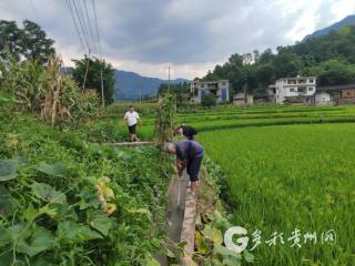 赤水市长期镇兴旺村深化“四题治理”解民忧 修渠引水润民心