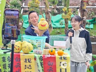 赤水“村集”不一般！一方屏幕赶 货销万里潮