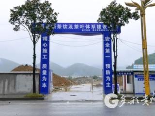 凤冈新茶饮项目建设正酣 助推茶产业全链升级