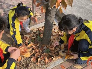 秋叶心语，时光信箱——枣庄市市中区永安镇遗棠小学举行小学生心理健康主题活动