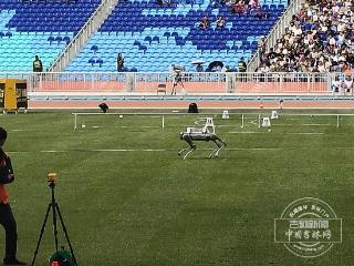 聚焦十五运｜科技赋能赛场 田径演绎“智慧竞技”