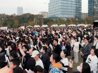 合肥庐阳“大象音乐嘉年华”燃爆出圈