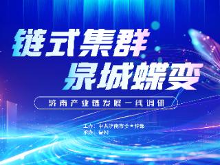 产业“链”上的中国“第五城”|链上济南项新行