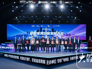 “安徽省电竞产业研究合作基地”聘任10名顾问