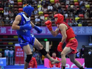 连续三届豪取三金！河南散打续写20年荣耀传奇