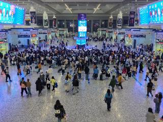 合肥南站首次开行“歌迷专列”