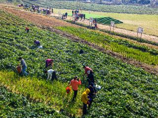 庐江：全力打造研学旅行基地