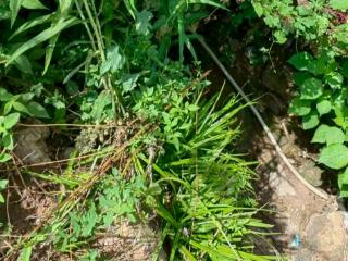 抚州市水源村岭下组排水沟工程绘就民生新图景