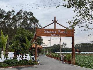 时空交响中的泰康方案：让乡村焕活，让长者悦享