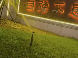 民生帮办|东营市东营区：寒潮夜一绿化带持续喷水十余小时 相关部门称系正常养护工作