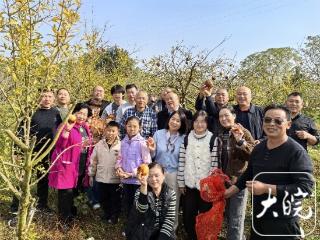 怀远一家农场石榴滞销 热心人采摘助农