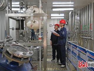 奋进的河北·“十四五”答卷丨牢记嘱托 感恩奋进（二）：京津冀协同发展迈上新台阶