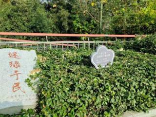 邓效民：口袋公园，暖了寻常岁月