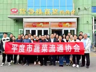 榜样力量 用“脚底板”踩实品牌路 以“考察课”答好振兴卷——平度市蔬菜流通协会年末考察探索“平度优农”进阶路径