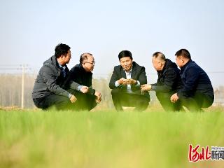 四中全会精神在基层｜麦田里的宣讲会