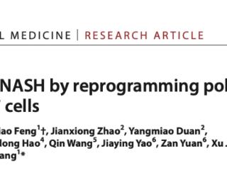 山东第一医科大学附属省立医院在国际顶级期刊Science子刊发表非酒精性脂肪性肝炎免疫代谢机制最新研究成果