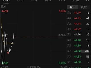开盘跳水！*ST绿康“九连板”后上演“天地板”