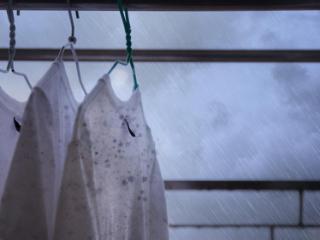 3000小时极限测试：揭秘百奥除湿机稳定表现背后的品质坚守