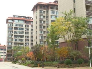 民生为笔绘新城 宜居为卷写幸福——普定县“十四五”新型城镇化建设纪实