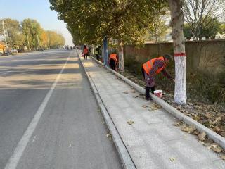 【冬季绿化养护正当时】济南市莱芜区方下街道开展绿化集中整治行动