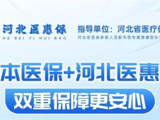 30 元守护一整年！河北医惠保互联网门诊险，流感季就医购药不发愁