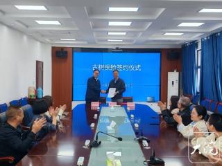 安徽宁国为974株古树买保险