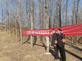 临沭县玉山镇多维布防，守护绿水青山