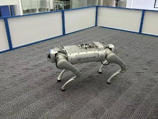 青春华章丨机器狗“出圈儿” 助力新兴产业攀高峰