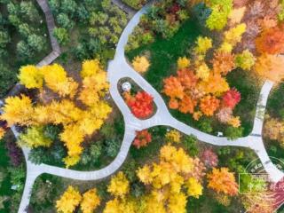 新发路观察｜谋划“十五五”，他们给吉林提建议