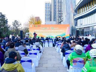 五大主题消费补贴1800余万元 西安市雁塔区打造冬日消费新热点