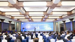 烟台高新区:喜报！烟台药物研究所荣获2025山东“新高赛”三等奖