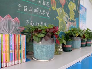 打造最美教室 浸润少年成长——东营市东营区三中开展第十三届“最美教室”评选活动