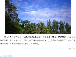 错过了东平的春夏秋 别再错过它的冬