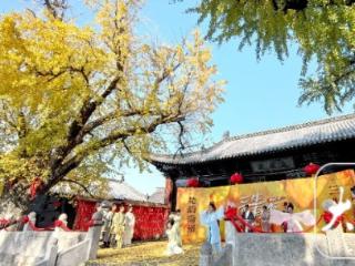 寿县“三生有杏”旅游季开启