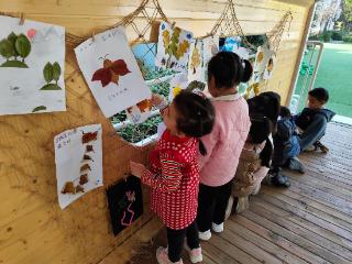 要和秋天说再见了！亲子共赴一堂自然课