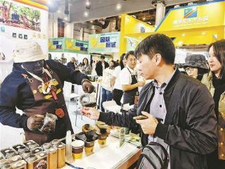 2025厦门国际咖啡产业博览会开幕 境外参展商纷纷推介产品