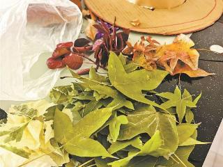 留住秋日浪漫 这份“捡秋”地图请查收