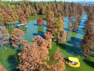 庐江：大汉塘景区迎客流高峰