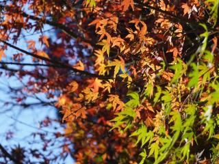 本周，福州市区气温将仅剩个位数！